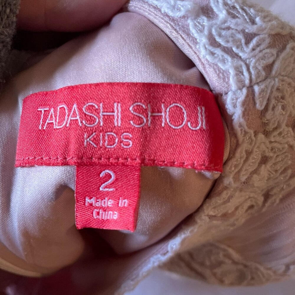 Tadashi Shoji Kids Lace Tutu Dress White Pink Sz 2T Tulle Skirt Fairy Princess - Picture 4 of 5